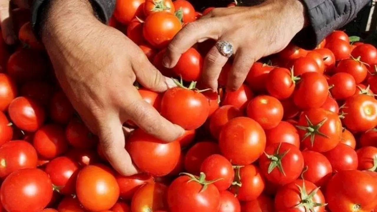 كيف تحولت الخمسون جنيهًا من لحم إلى فكة في ظل التعويم؟